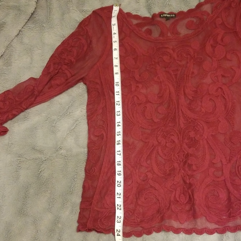Express Embroided Lace Mesh Top - Picture 4 of 5